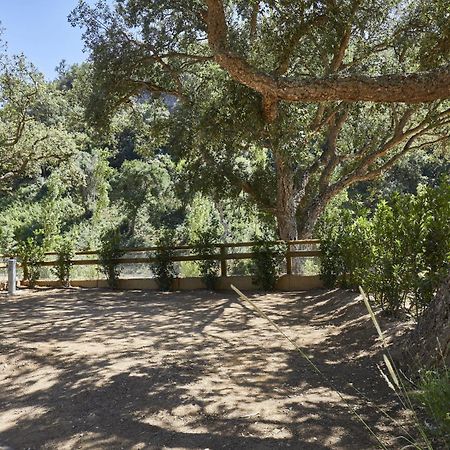Pola Giverola Camp トッサ・デ・マール エクステリア 写真