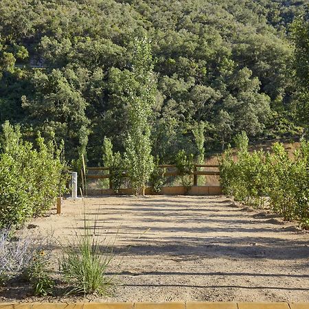 Pola Giverola Camp トッサ・デ・マール エクステリア 写真