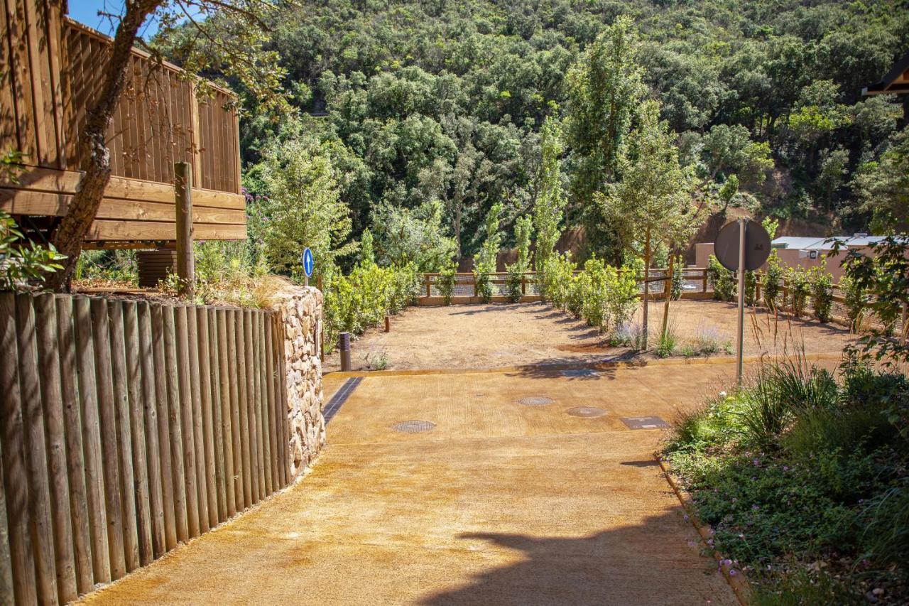 Pola Giverola Camp トッサ・デ・マール エクステリア 写真