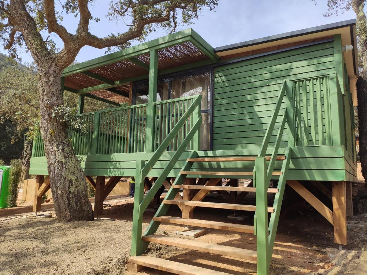 Pola Giverola Camp トッサ・デ・マール エクステリア 写真